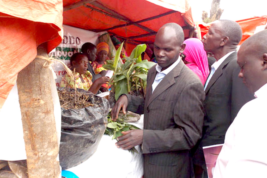 Members of ERI observe some of the farm products on display at one of the stalls at the Farmers’ Field Day. Photo by Michael J Ssali