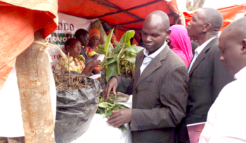 Members of ERI observe some of the farm products on display at one of the stalls at the Farmers’ Field Day. Photo by Michael J Ssali