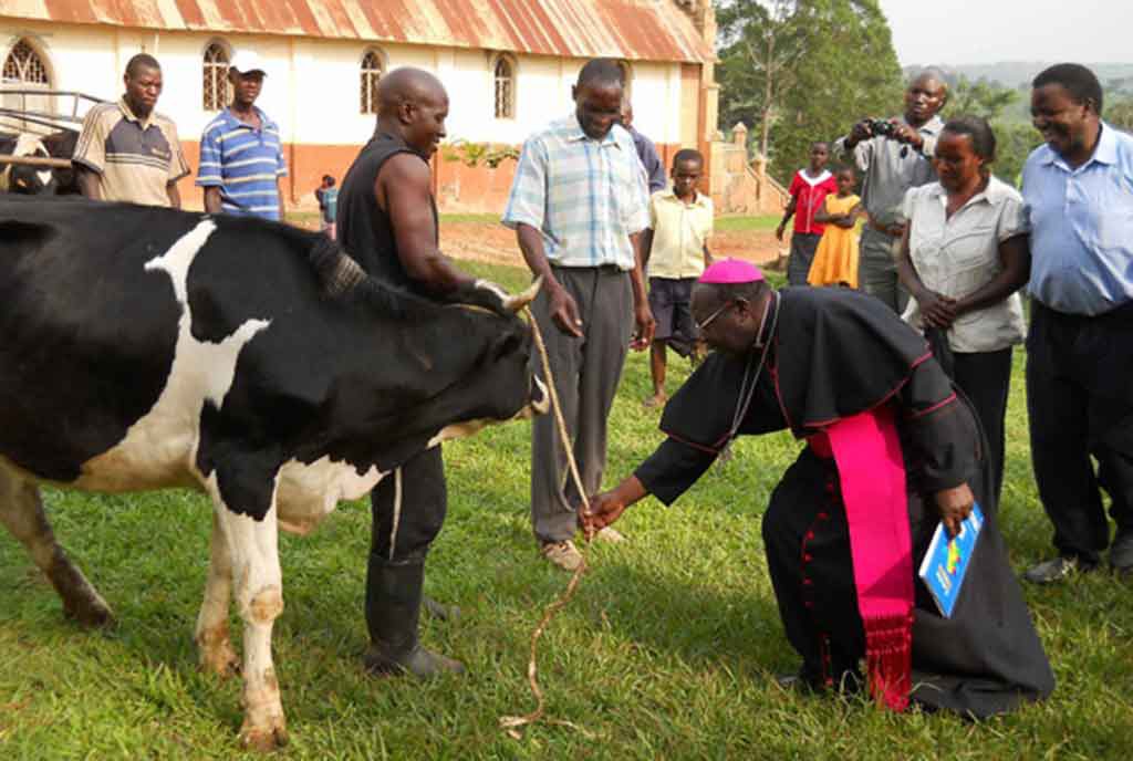 Bishop John Baptist Kaggwa of Masaka Diocese hands over a cow to Mr Issa Ssemanda, (middle), one of the farmers. Bishop Kaggwa believes that a cow can lead to total transformation of farming households. PHOTO BY MICHAEL J. SSALI